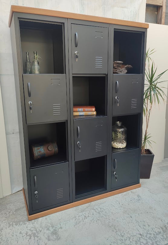 Rimu Cubbyhole Display Locker