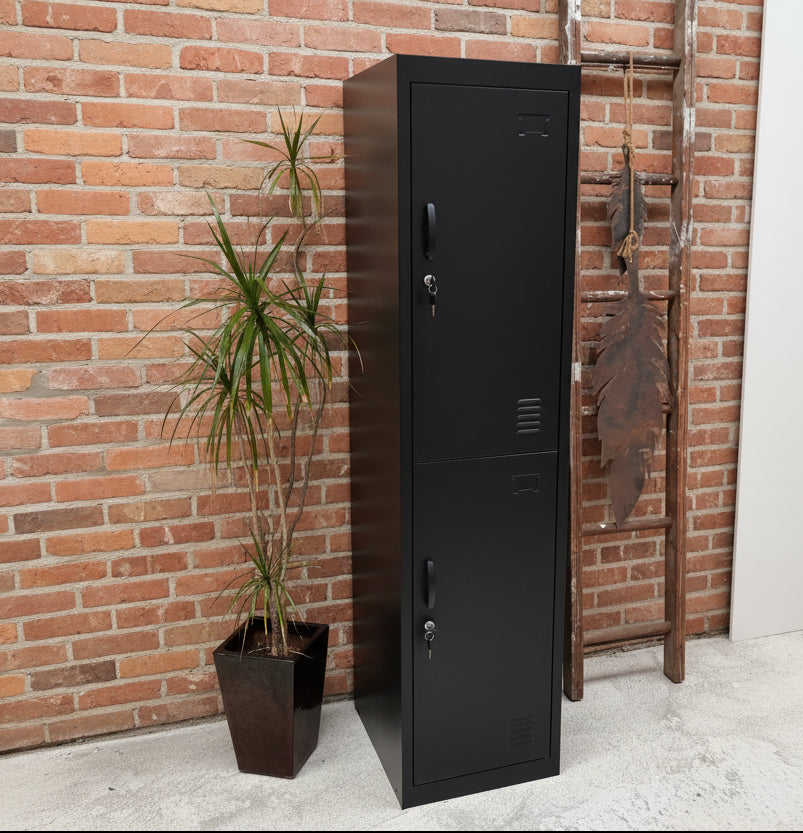 Black 2 Door locker next to a potted plant against a textured wall.