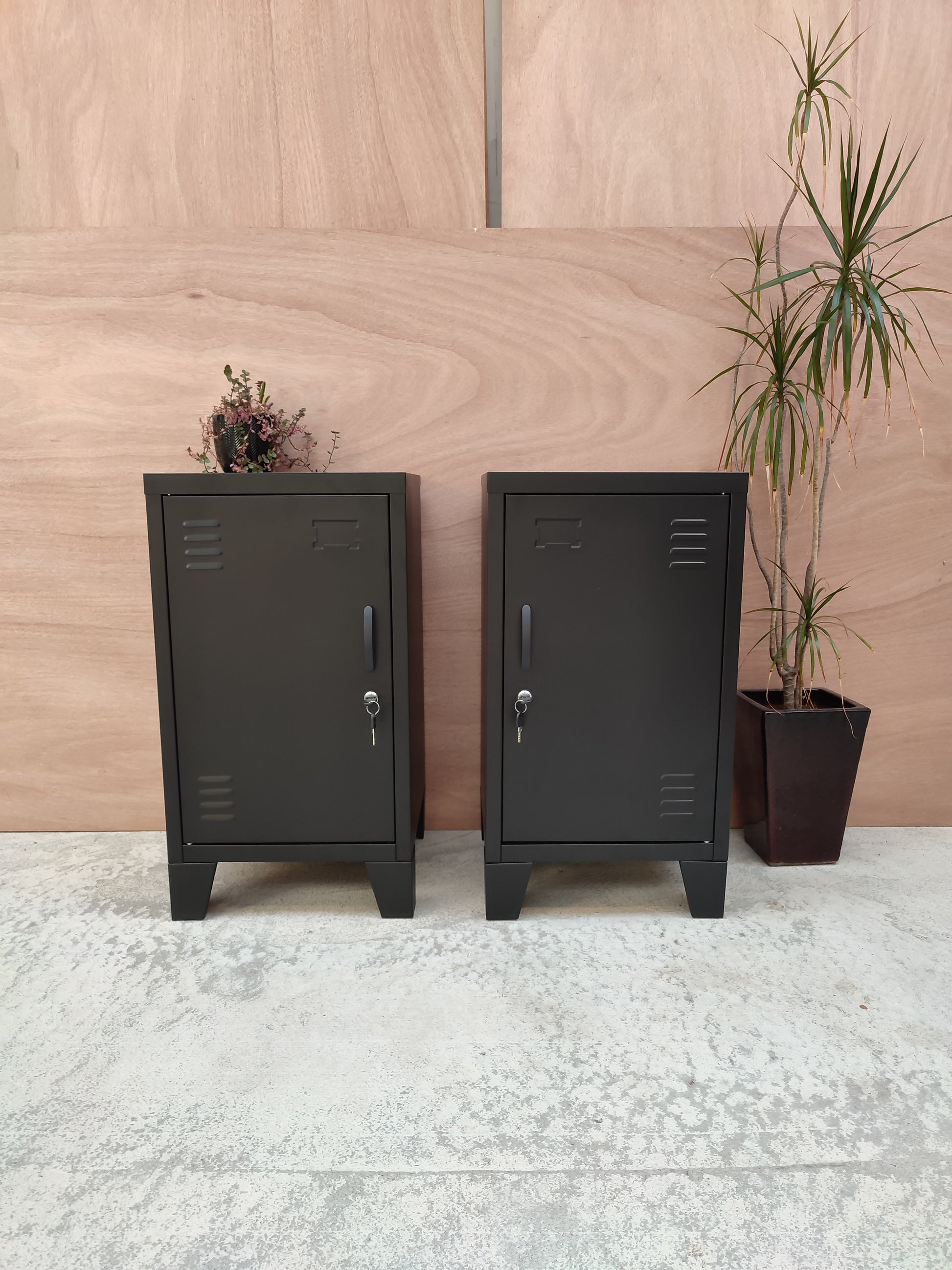 Pair of industrial style black mini lockers against wooden background with plants
