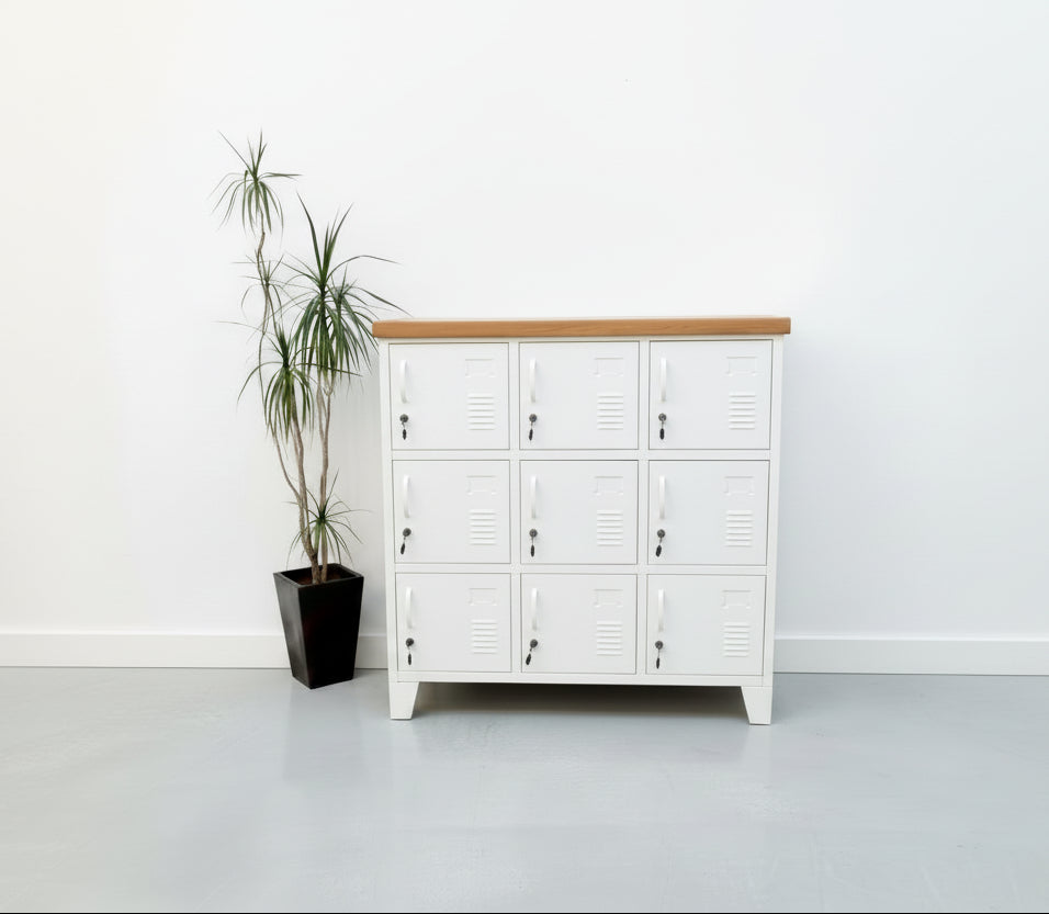 White 9 door metal locker cabinet with Rimu top