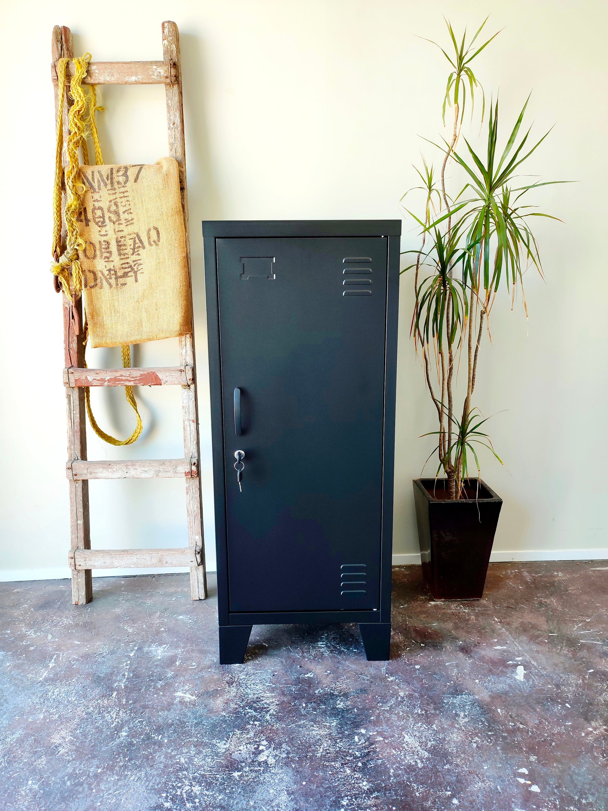 A black metal side cabinet with right opening door, two adjustable shelves, placed on a floor with a potted plant and a ladder in the background.